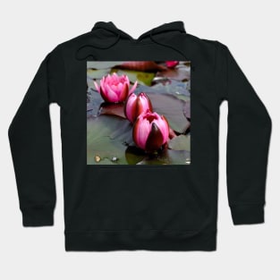 Water Lilies Hoodie